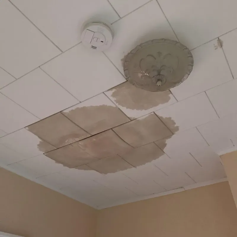 Ceiling Water Damage Repair in Monte Alto, TX