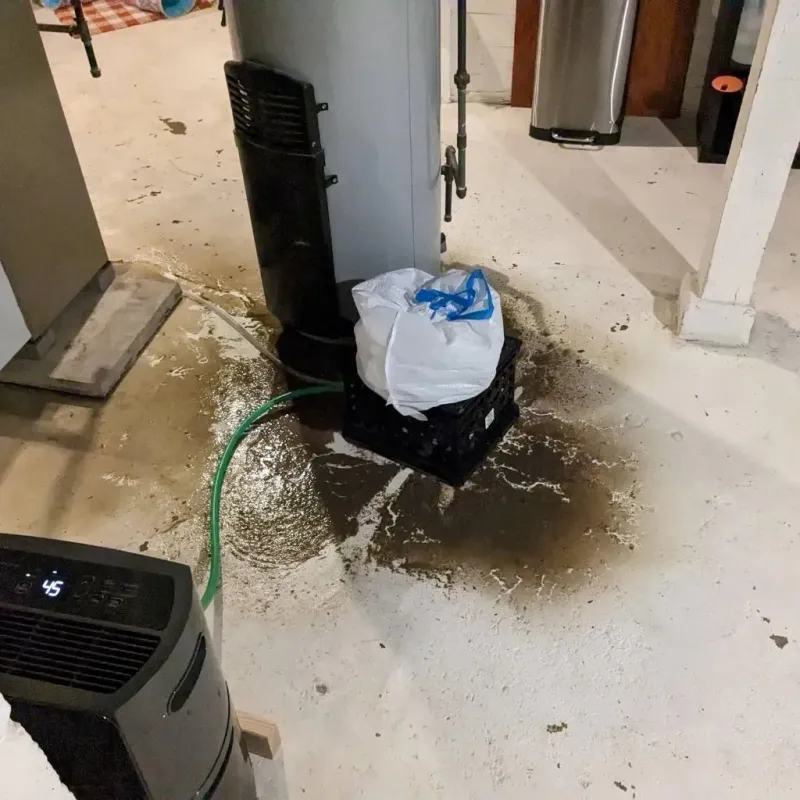 Sewage Backup Cleanup Service in Monte Alto, TX